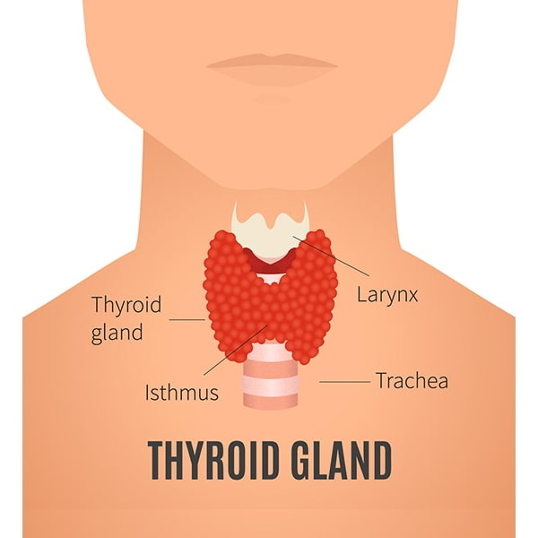 Best thyroid clinic in Vellore