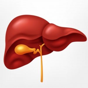 Homeopathic Treatment for Liver Problems