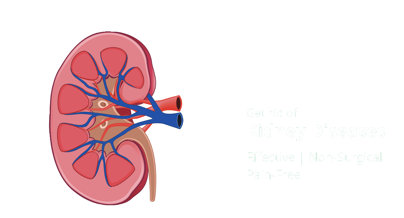 Homeopathic Treatment for Kidney Diseases